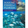 Marine Fishes of Florida (David B. Snyder)()