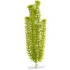 JK ANIMALS Anacharis 38-43 cm