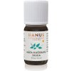 Mäta kučeravá spearmint éterický olej - Hanus Objem: 10 ml