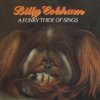 Cobham Billy - Funky Thide Of Sings [CD]