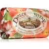 Nesti Dante Dolce Vivere Venezia prírodné mydlo 250 g