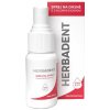 HERBADENT PROFESSIONAL Sprej na ďasná s chlórhexidínom 25 ml