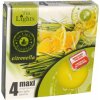 Parafínová čajová sviečka CITRONELLA Admit 4 ks
