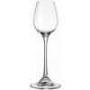 CRYSTALITE BOHEMIA BOHEMIA COLUMBA LIKÉROVÉ POHÁRE 90ML SADA 6 KS
