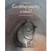 Co dělají pocity v noci? - Oziewiczová Tina