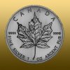 Maple Leaf Strieborná investičná minca 1 Oz (uvedená cena platí pri odbere 100 a viac kusov).