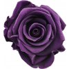 Ina DARK Purple - fialová (3x stabilizovaná 