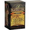 BASILUR Island of Tea Special prebal 20x2g/7614 Zelená Lekáreň