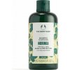 The Body Shop Moringa Shampoo (matné vlasy) - Šampón 250 ml