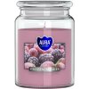 Aura Bispol Frozen Berries vonná sviečka 500g