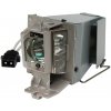 Lampa pre projektor Optoma GT1070X (SP.8VH01GC01) varianta: Originálna lampa bez modulu