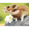 ZUTY Maľovanie podľa čísel ŠKREČOK NA KAMENI Rámovanie vypnuté plátno na rám Rozmer 80 x 100 cm