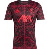 adidas Liverpool FC Pre-Match Jersey 2025/26 jv9013