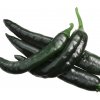 Chilli Pasilla Bajio - Capsicum annuum - semená chilli - 7 ks