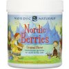 Nordic Naturals Nordic Berries Multivitamin pro Děti, Sladkokyselé, 120 gumových bombonu