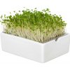 BIO microgreen Brokolica - Heimgart - náhradné pláty - 1 ks