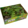 Lucky Reptile Deco Set Jungle