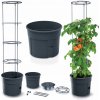 Prosperplast Tomato Grower Květináč 39,2 cm antracit
