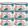 ROYAL CANIN Senior Ageing 15+ konzerva 6 x 85 g