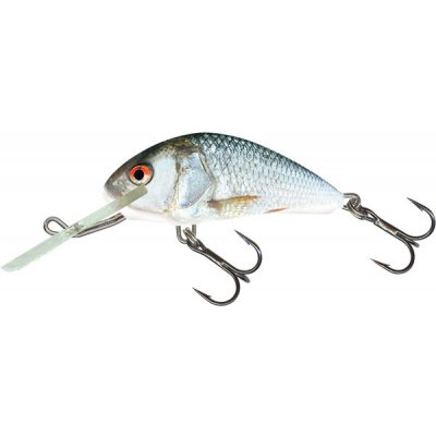 Salmo Wobler Hornet Sinking Real Dace-4 cm 4 g