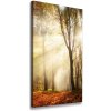 Vertikálny foto obraz canvas Les na jeseň 50x100 cm