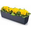 Kvetináč plast sivý Prosperplast 59 cm x 15,4 cm x 14,2 cm