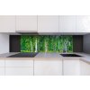 DIMEX | Dibond doska za kuchynskú linku | DBW-18060-044 Brezový háj | 180 x 60 cm + Dibond obkladová doska Dimex do kuchyne Brezový háj v rozmere 180 x 60 cm