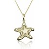 GOLDIE Zlatý prívesok Hviezdica LPE675.COM