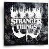Sablio Obraz Stranger Things White - 50x50 cm