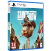 Saints Row