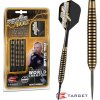 Šípky TARGET steel POWER Bolt 24g - Phil Taylor BRASS