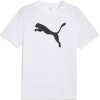 Pánske Tričko s krátkym rukávom PUMA ESS POLY TEE 68254002 – Biela