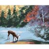 Diamondi Diamantové maľovanie - JELEŇ PRI ZAMRZNUTOM POTOKU (D. RUSTY RUST) Rámovanie: vypnuté plátno na rám, Rozmer: 40x50 cm