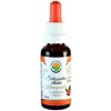 Salvia Paradise Schizandra čínska - klanopraška AF tinktúra - 50 ml