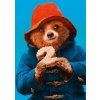 Paddington 2 - The Story Of The Movie: Movie Tie-In