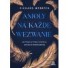 Anioły na każde wezwanie. Jak prosić o pomoc i wsparcie anielskich przewodników (Richard Webster)(Brožovaná)