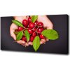 Foto obraz na plátne Višne v dlaniach 100x50 cm