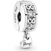 Pandora 791151C01