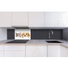 DIMEX | Dibond doska za kuchynskú linku | DBW-06040-175 Mačky a psy | 60 x 40 cm + Dibond obkladová doska Dimex do kuchyne Mačky a psy v rozmere 60 x 40 cm