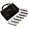 Fender BLUES DELUXE 7 PACK W/CASE