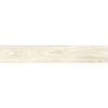 Granito Forte MONTREAL Bianco 20x121 1,2m2