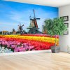 Fototapeta Tulipány veterné mlyny
