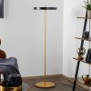 UMAGE Asteria floor stojaca LED lampa čierna - 2340
