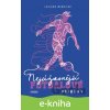 E-kniha Nejúžasnější fotbalové příběhy - Luciano Wernicke