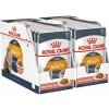 Royal Canin Hair & Skin Care Gravy kapsička pre mačky v šťave 24 x 85 g