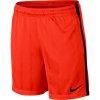 Nike Dry Squad Jacquard Junior 870121-852 football shorts (45769) XL