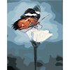 Zuty – Maľovanie Podľa Čísel – Motýľ Na Kvetine, 40 × 50 cm, Plátno 8596530137924