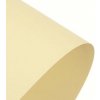 papier xero 80G A4 50L slonovina