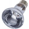 Repti Zoo Neodymium Daylight žiarovka 100 W
