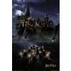 Plagát, Obraz - Harry Potter - Rokfort, 61 × 91.5 cm